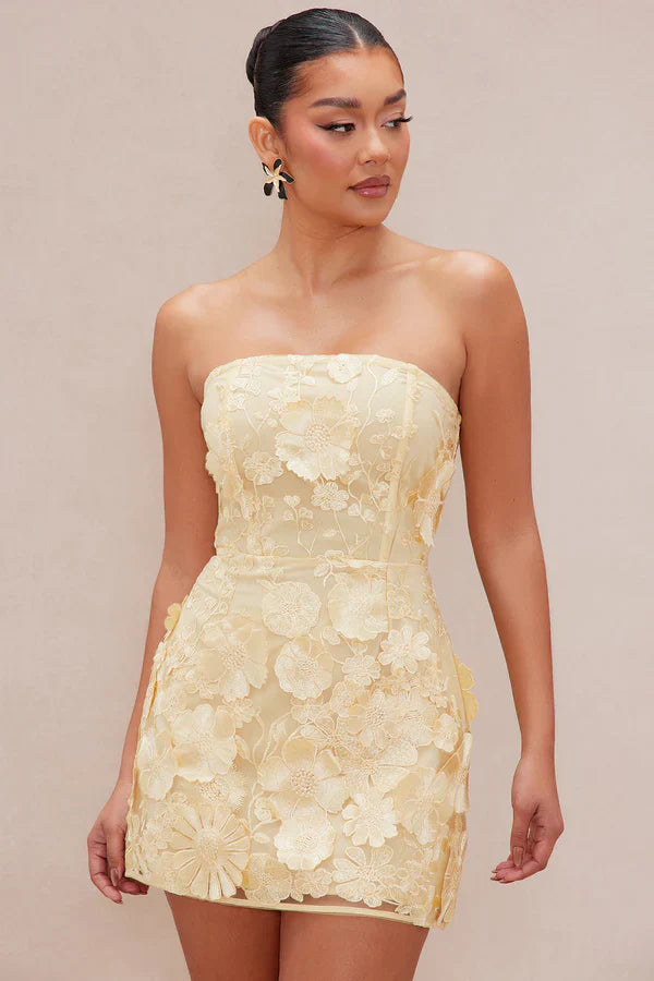 Marcella Embroidered A-Line Mini Dress - Yellow